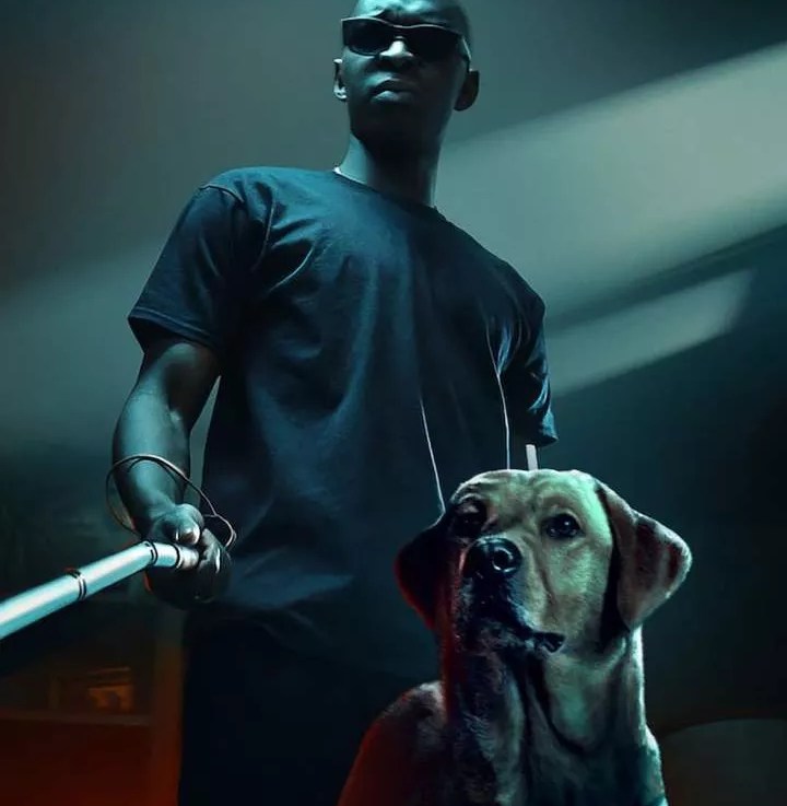 In His Shadow (2023)&nbsp;[French]